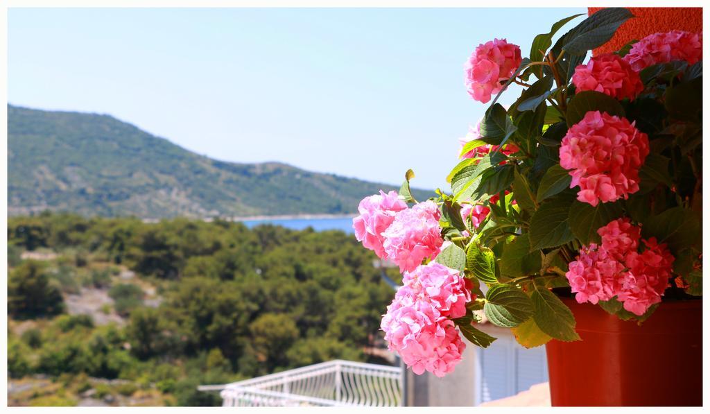 Villa Marica Primošten Exteriér fotografie